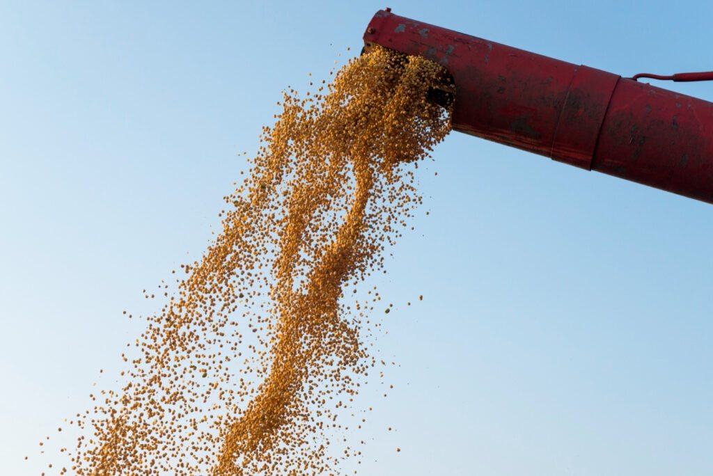 Black Sea grain attacks disrupt exports as importers brace for supply cuts