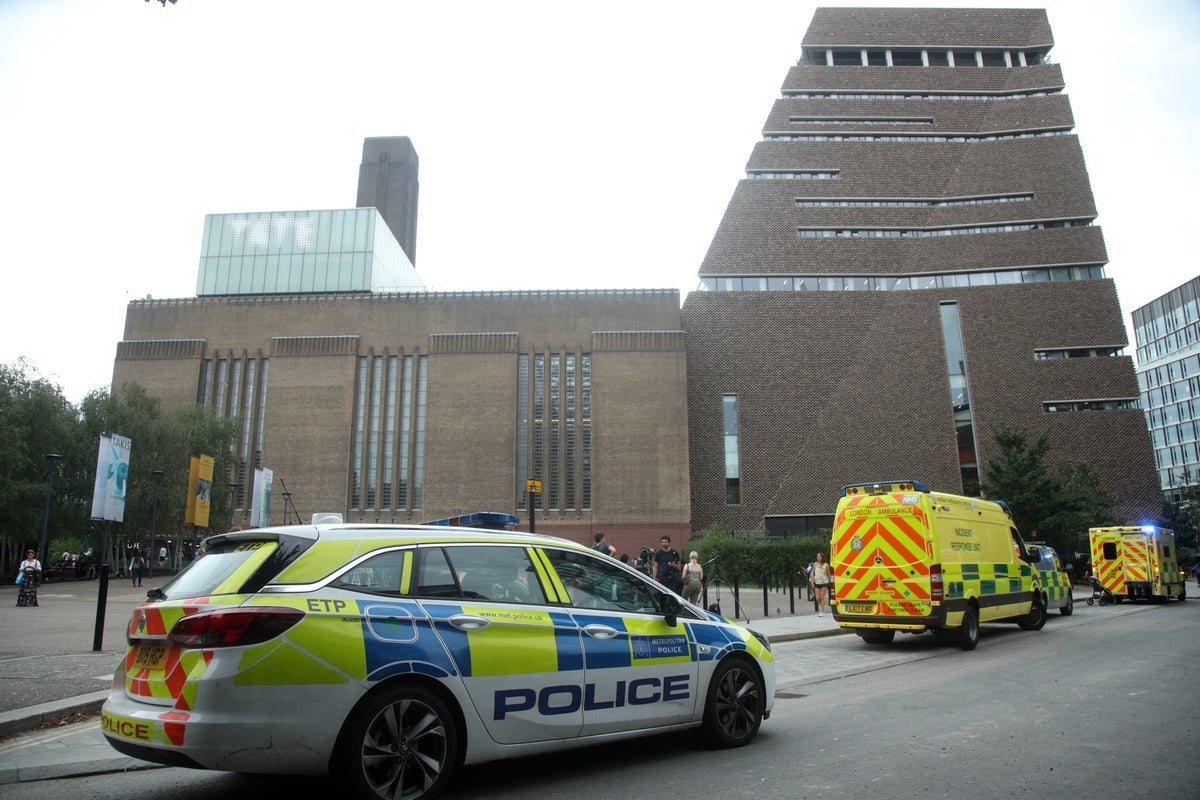 Boy thrown from Tate Modern balcony leaves hospital, family says