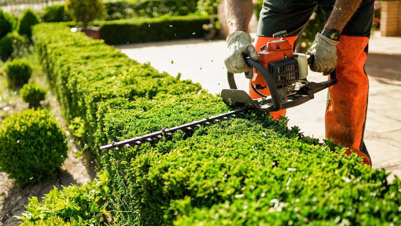 Five unglamorous small business ideas built on recurring revenue