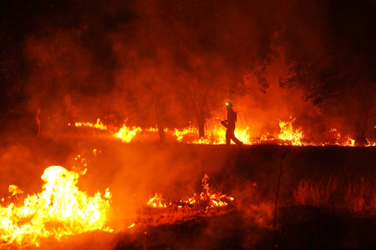 France and Spain battle wildfires as new heatwave threatens worse conditions