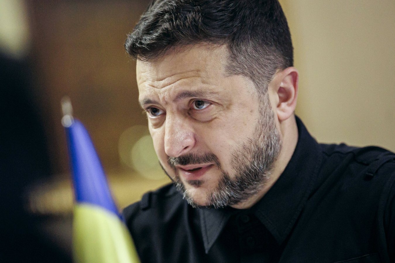 Zelensky Asks Poland, Hungary, Slovakia and Romania to Allow Ukrainian Grain Transit