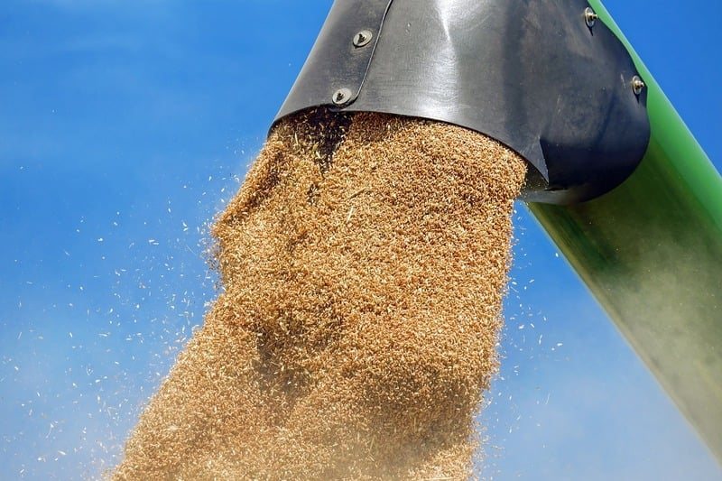 Zelensky Urges Romania, Poland, Slovakia and Hungary to Allow Ukrainian Grain Transit