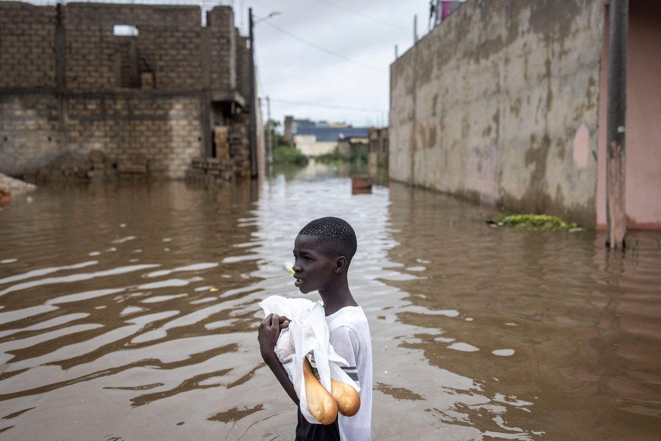 Senegal's Oil and Gas Exports Fail to Ease Soaring Bread Prices