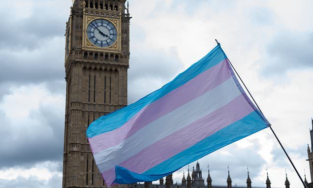 Left-wing councils vow to defy rules on single-sex spaces after Supreme Court case because they claim guidance is 'harmful to the rights of trans people'