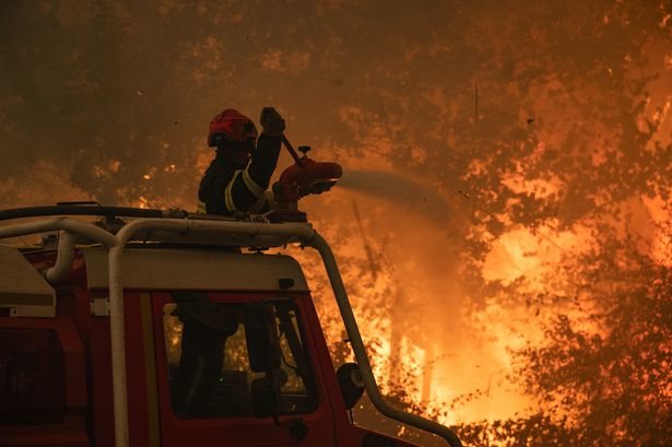 Firefighters battle huge wildfire near Bordeaux as Spanish PM warns of climate emergency